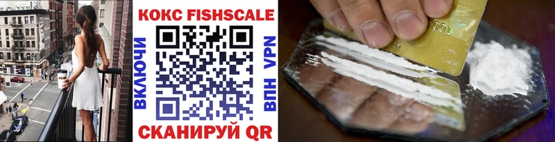 Cocaine Fish Scale МЕГА tor Палласовка